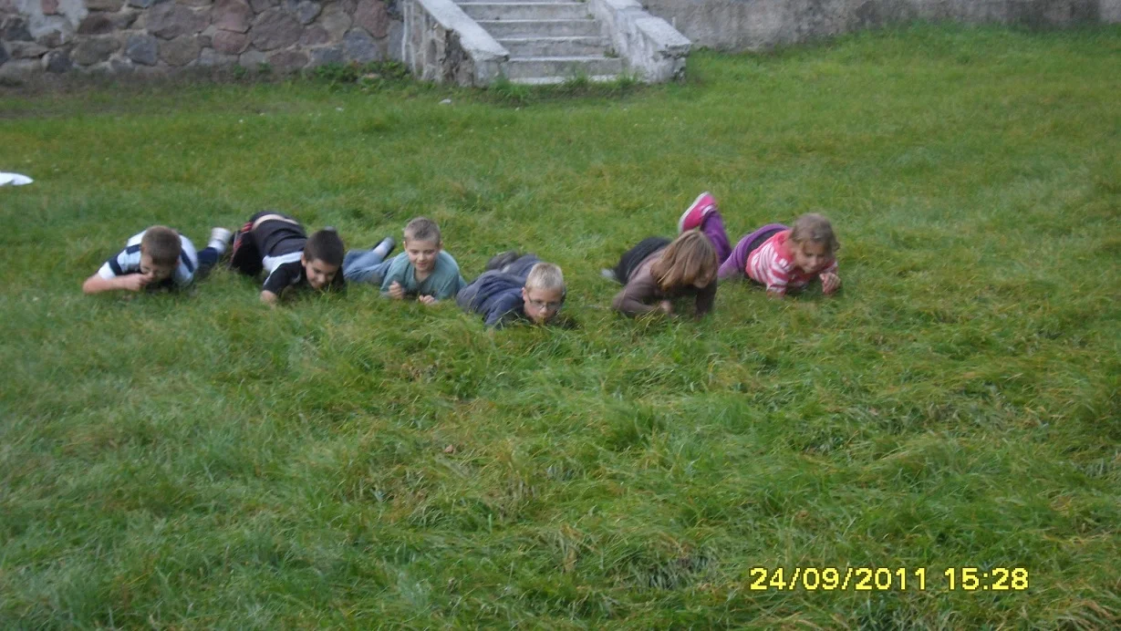Zdjęcie z galerii